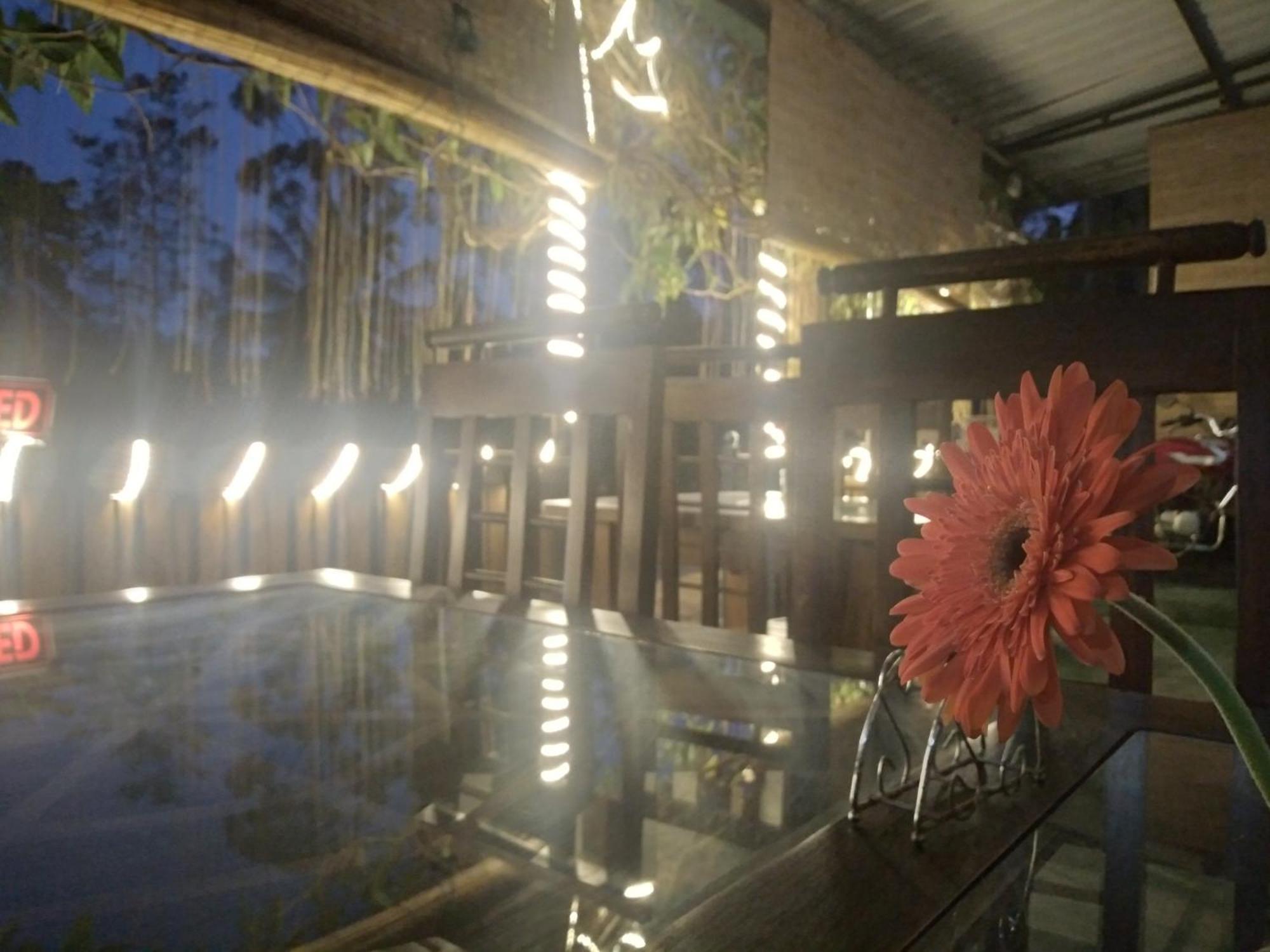 Ella Nature Life Guest & Restaurant -Free Pickup From Ella Luaran gambar