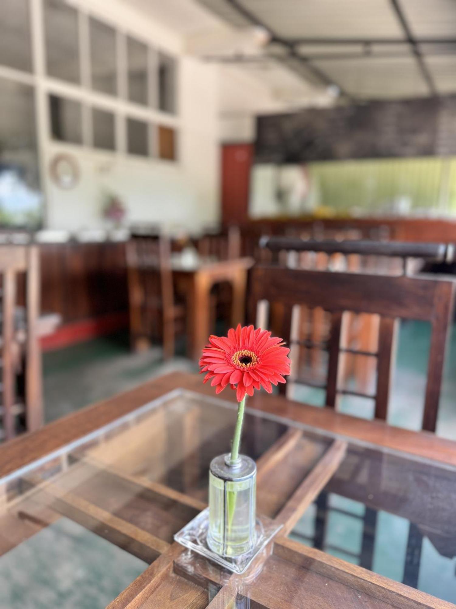 Ella Nature Life Guest & Restaurant -Free Pickup From Ella Luaran gambar